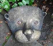 Otter head